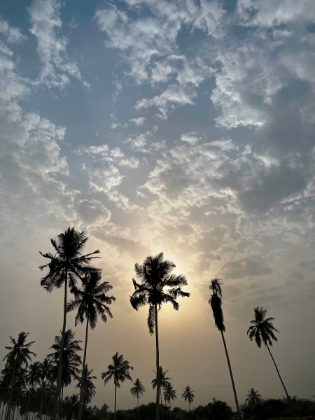 Ghana-28