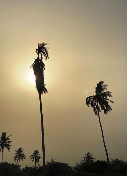 Ghana-32