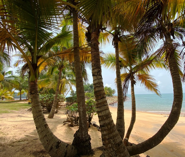 Ghana-324