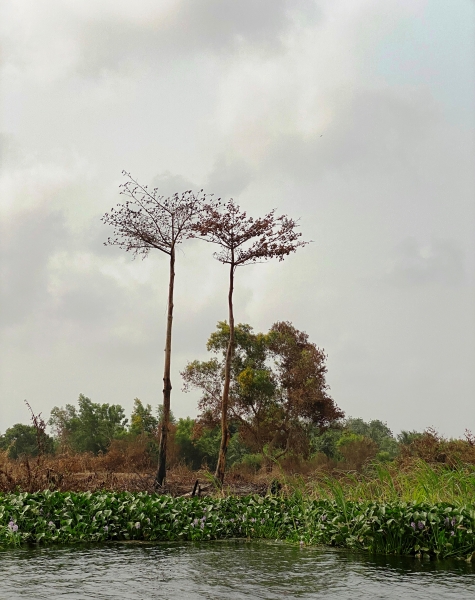 Ghana-490