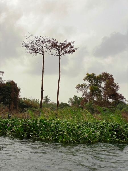 Ghana-491