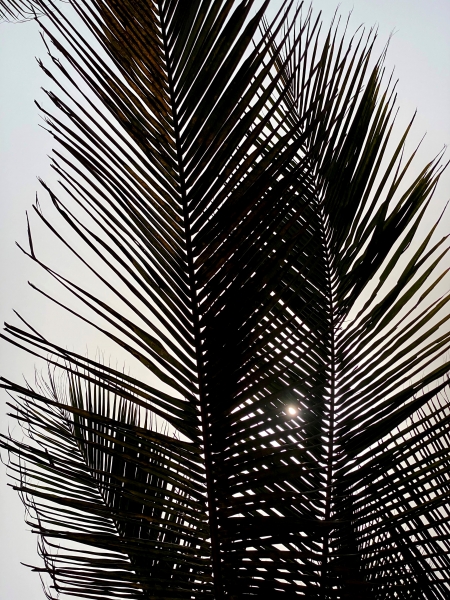 Ghana-50