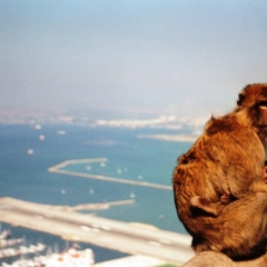 Spain - Gibraltar (9)