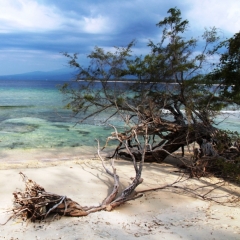 Gili Meno (14)