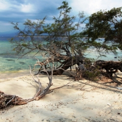 Gili Meno (15)