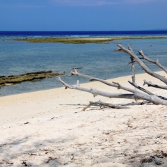 Gili Meno (19)