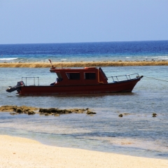 Gili Meno (29)