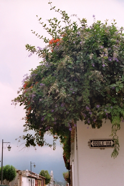 Guatemala (51)