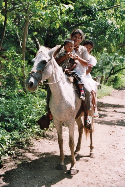 Honduras (38)
