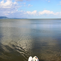 Hongarije (9)