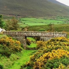 Ierland (15)