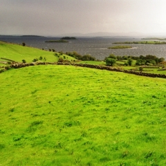 Ierland (1a)