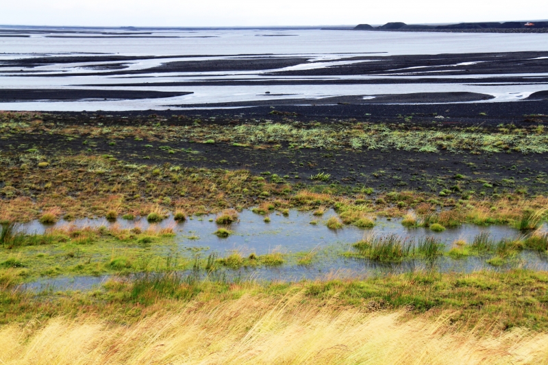 IJsland (251)