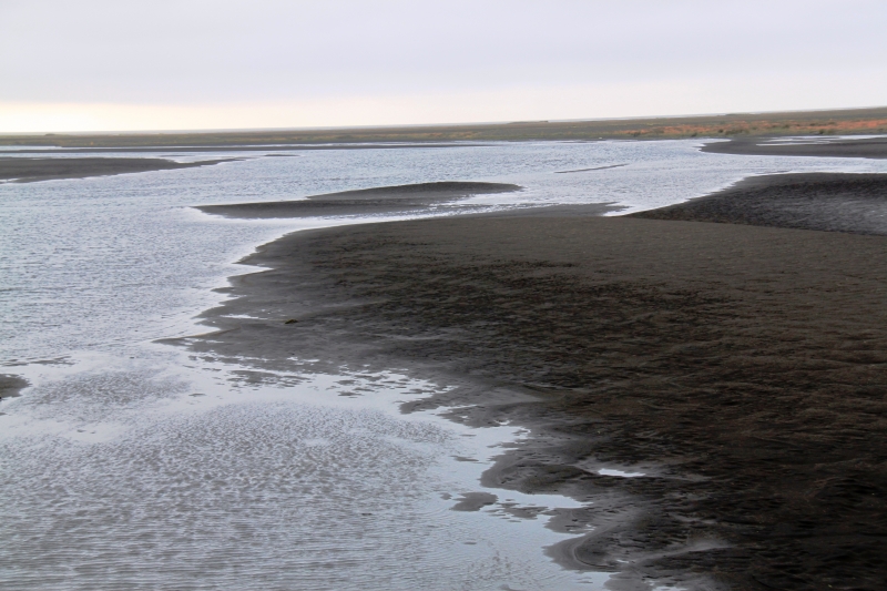 IJsland (321)