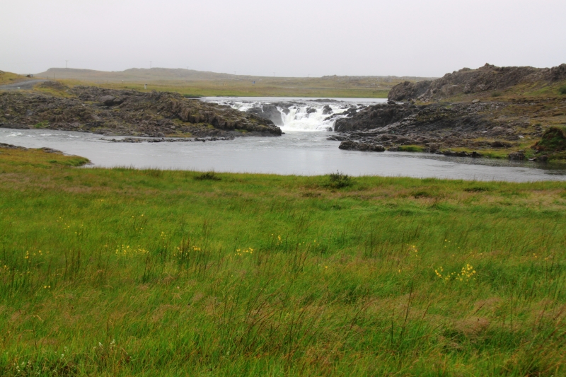 IJsland (435)