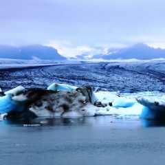 IJsland (11)