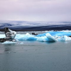 IJsland (3)