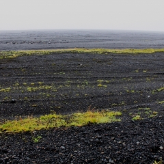 IJsland (306)