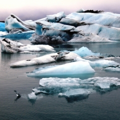 IJsland (38)