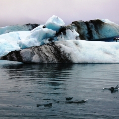 IJsland (45)