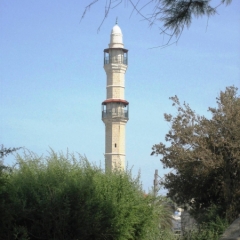 Israel (43)