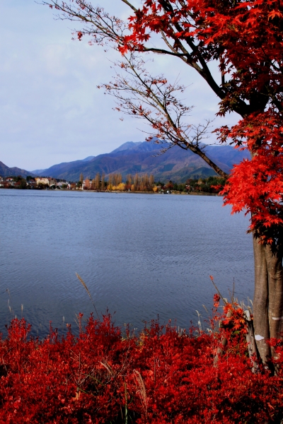 Japan (111)