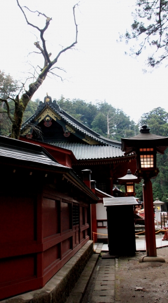 Japan (116)