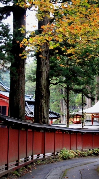 Japan (118)
