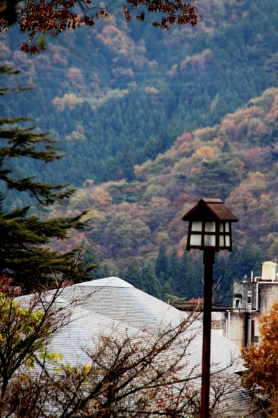 Japan (121)
