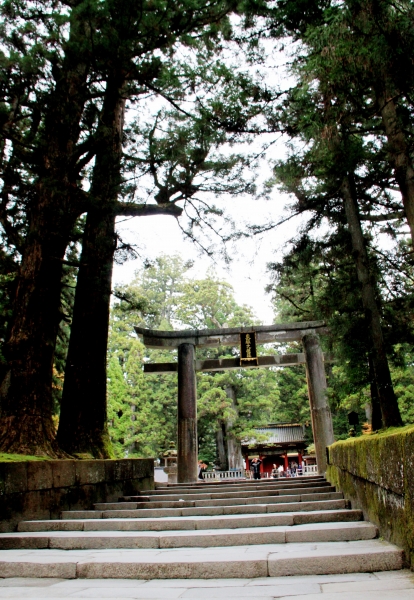 Japan (135)
