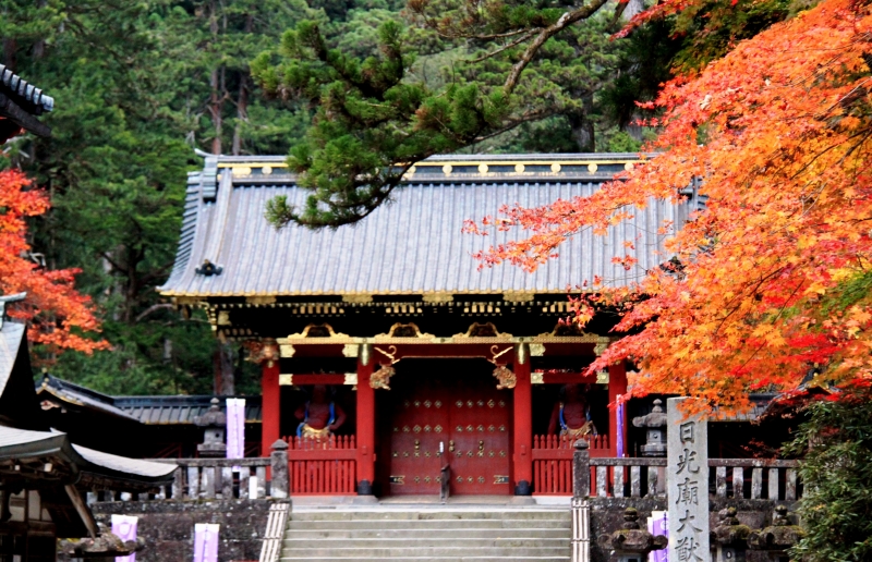 Japan (143)