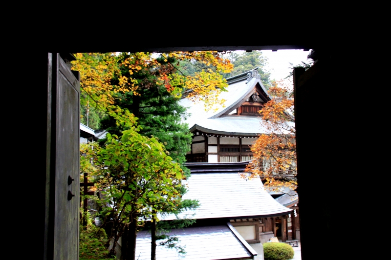 Japan (147)