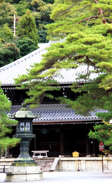 Japan (156)