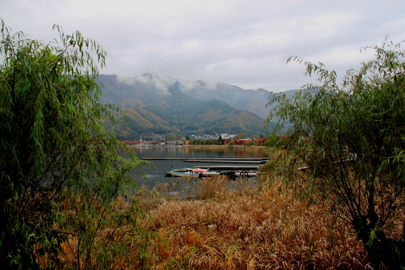Japan (241)