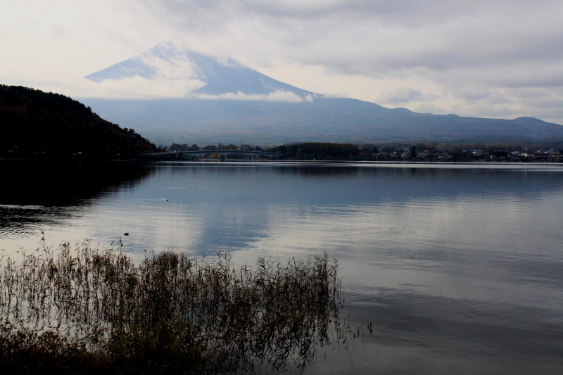 Japan (254)