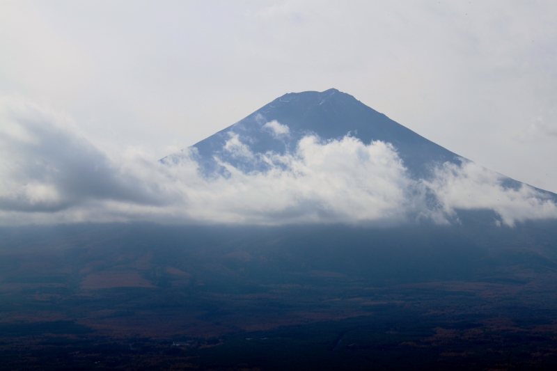 Japan (65)