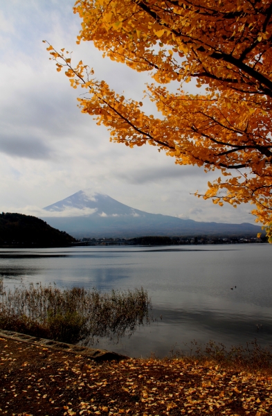 Japan (75)