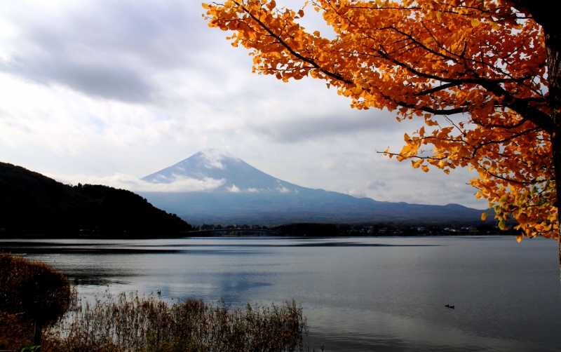 Japan (76)