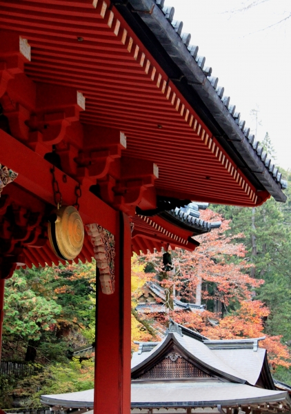 Japan (83)