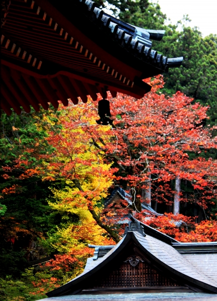 Japan (87)