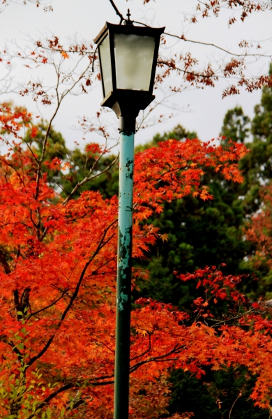 Japan (89)
