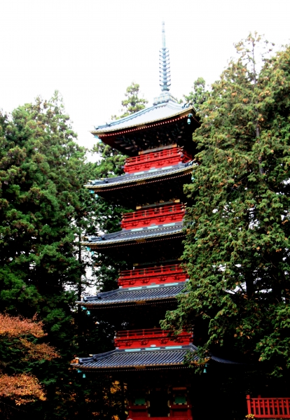 Japan (91)