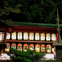Japan (23)