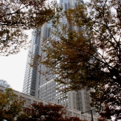 Japan (39)
