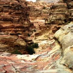 Jordanie (10)
