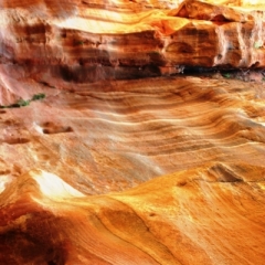 Jordanie (20)