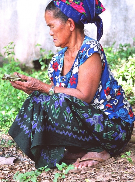 Laos (14)