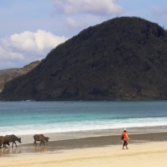 Lombok (44)