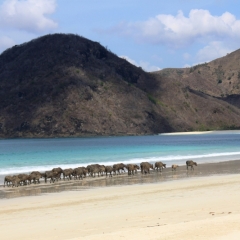 Lombok (45)