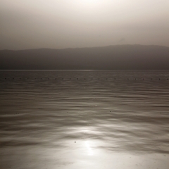 Macadonie (73)
